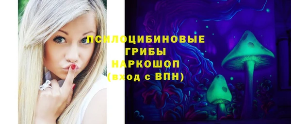 сатива Няндома