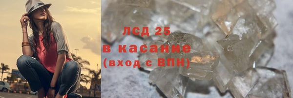 сатива Няндома