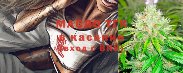 сатива Няндома