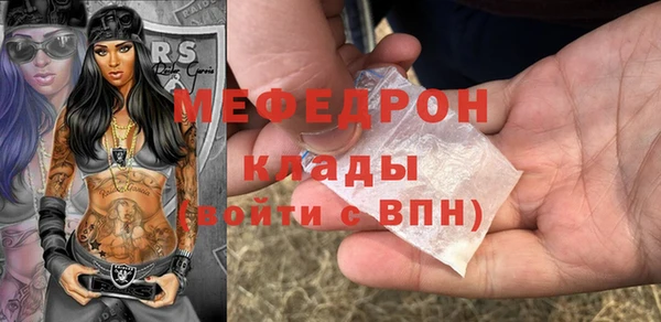 сатива Няндома