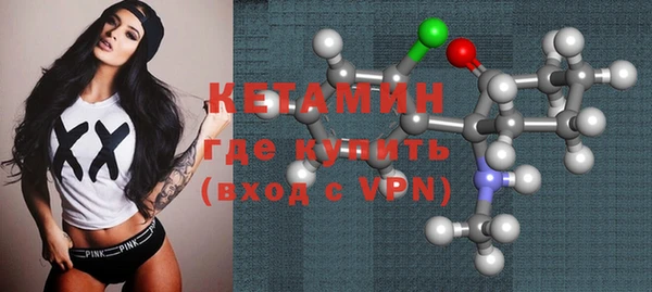 сатива Няндома