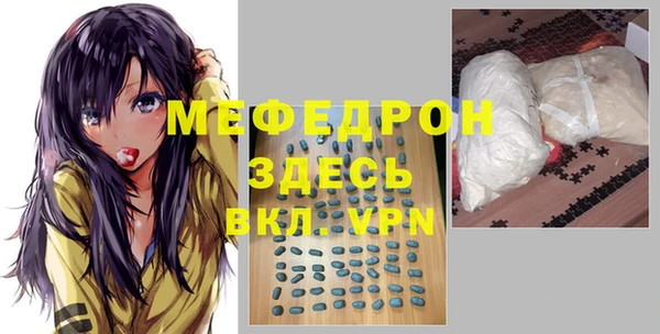 сатива Няндома