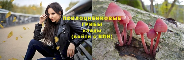мдпв Новодвинск
